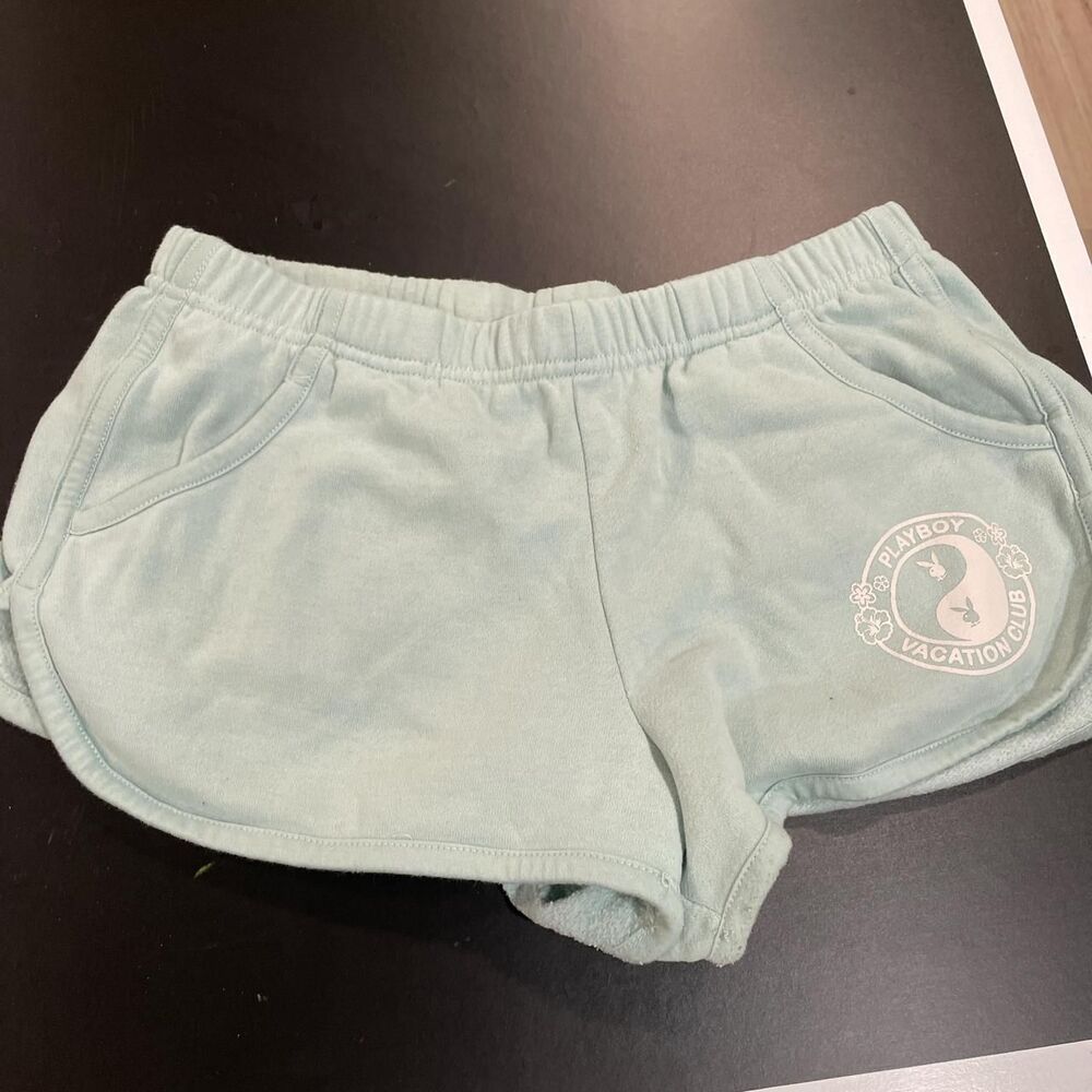 Pacsun Women's Green and Blue Shorts